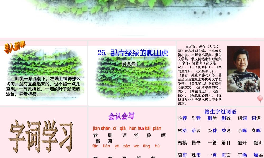 四年级语文上册 第七组 26《那片绿绿的爬山虎》课堂教学课件2 新人教版-新人教版小学四年级上册语文课件