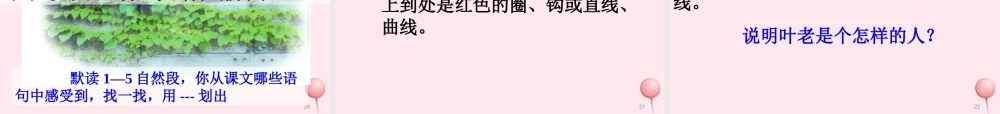 四年级语文上册 第七组 26《那片绿绿的爬山虎》课堂教学课件2 新人教版-新人教版小学四年级上册语文课件