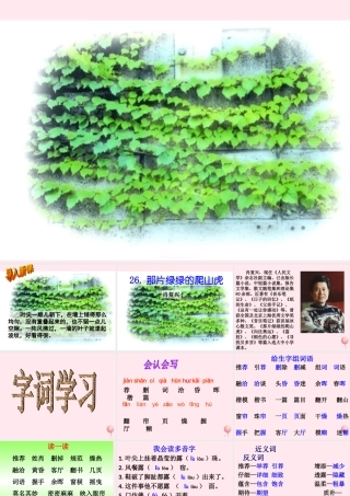 四年级语文上册 第七组 26《那片绿绿的爬山虎》课堂教学课件2 新人教版-新人教版小学四年级上册语文课件