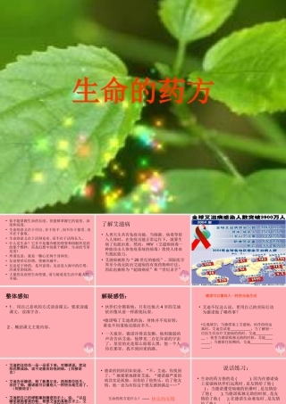 四年级语文上册 第八单元 生命的药方课件4 湘教版-湘教版小学四年级上册语文课件