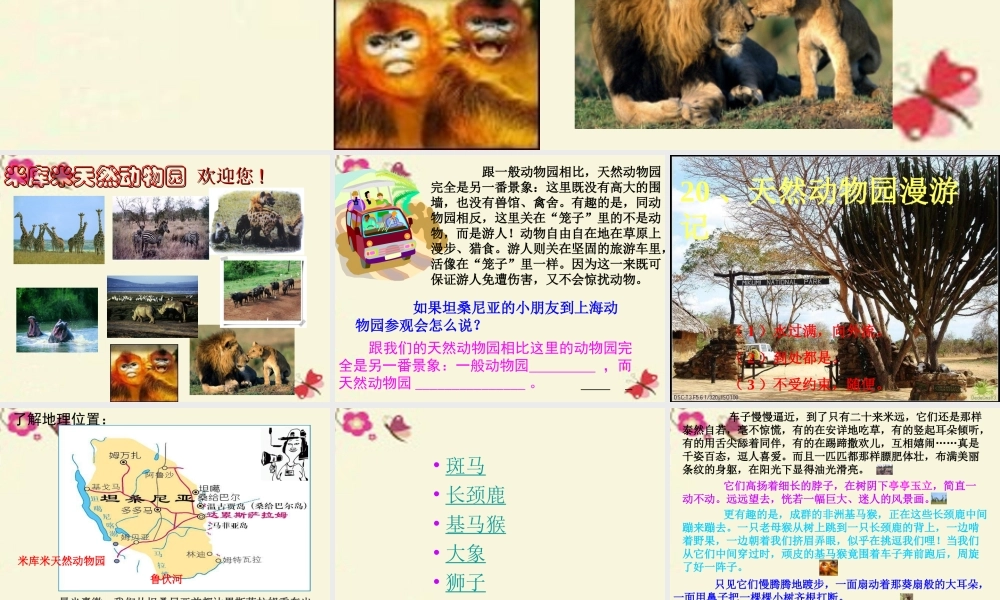 四年级语文下册 第4单元 20《天然动物园漫游记》课件 沪教版-沪教版小学四年级下册语文课件