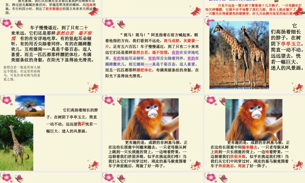 四年级语文下册 第4单元 20《天然动物园漫游记》课件 沪教版-沪教版小学四年级下册语文课件