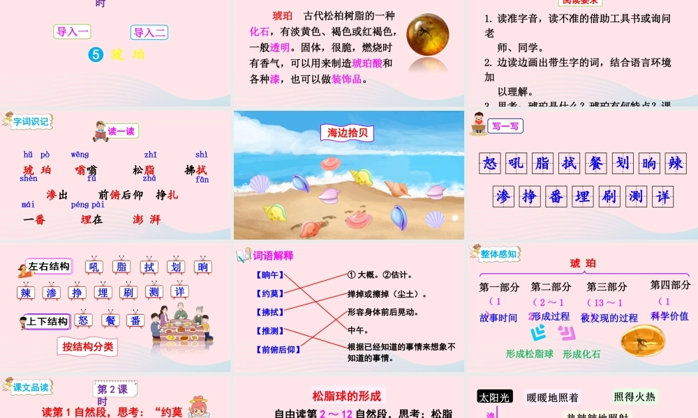 四年级语文下册 第二单元 5《琥珀》教学课件 新人教版-新人教版小学四年级下册语文课件