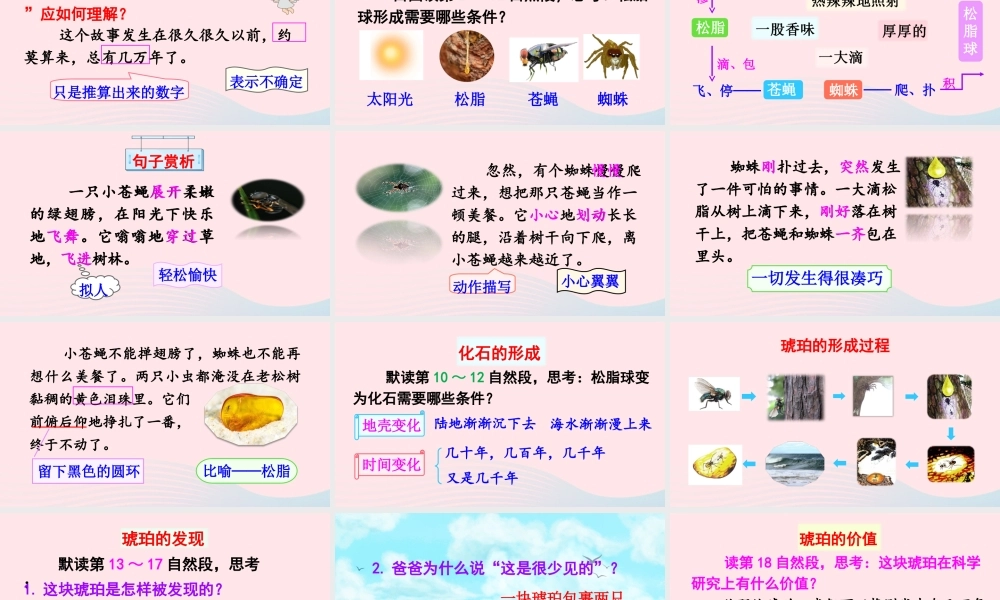 四年级语文下册 第二单元 5《琥珀》教学课件 新人教版-新人教版小学四年级下册语文课件