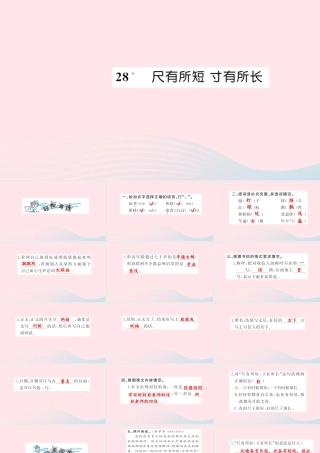 四年级语文上册 第七组 28 尺有所短寸有所长习题课件 新人教版-新人教版小学四年级上册语文课件