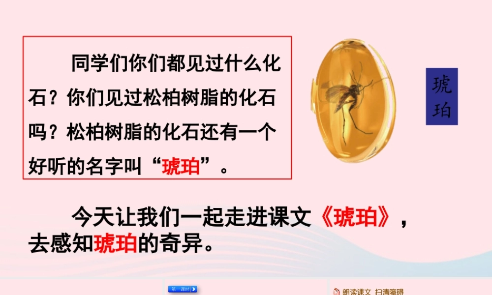 四年级语文下册 第二单元 5《琥珀》教学课件 新人教版-新人教级下册语文课件