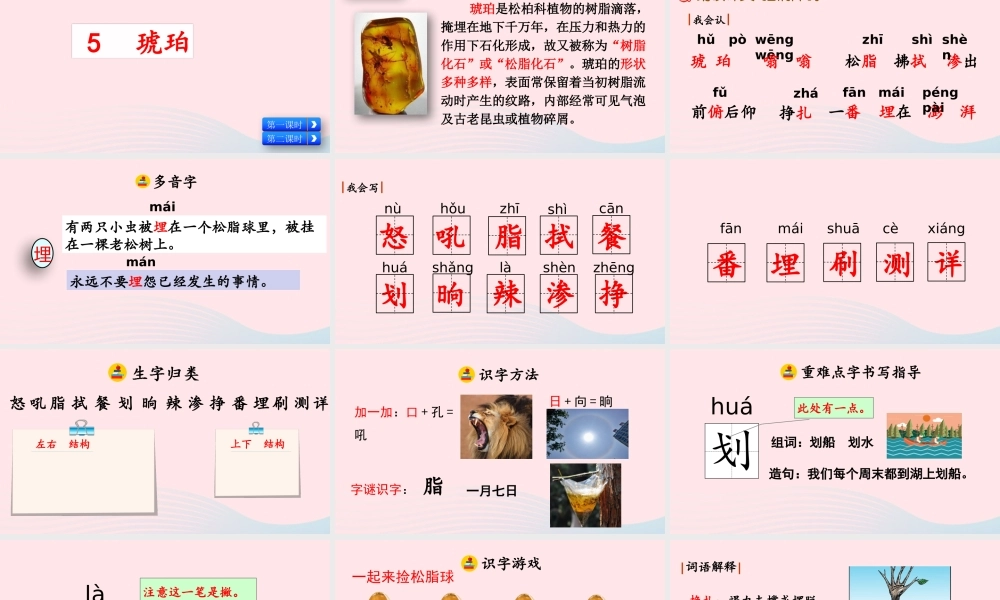 四年级语文下册 第二单元 5《琥珀》教学课件 新人教版-新人教级下册语文课件