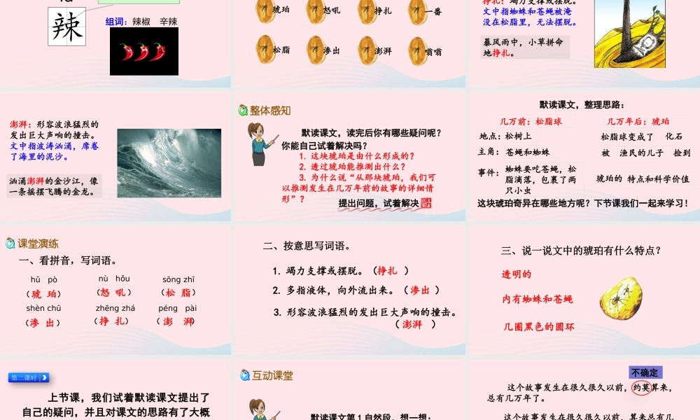 四年级语文下册 第二单元 5《琥珀》教学课件 新人教版-新人教级下册语文课件