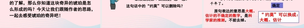 四年级语文下册 第二单元 5《琥珀》教学课件 新人教版-新人教级下册语文课件