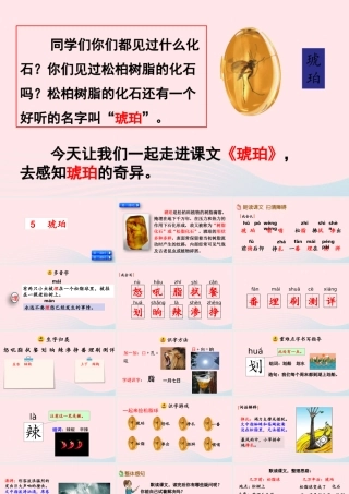 四年级语文下册 第二单元 5《琥珀》教学课件 新人教版-新人教级下册语文课件