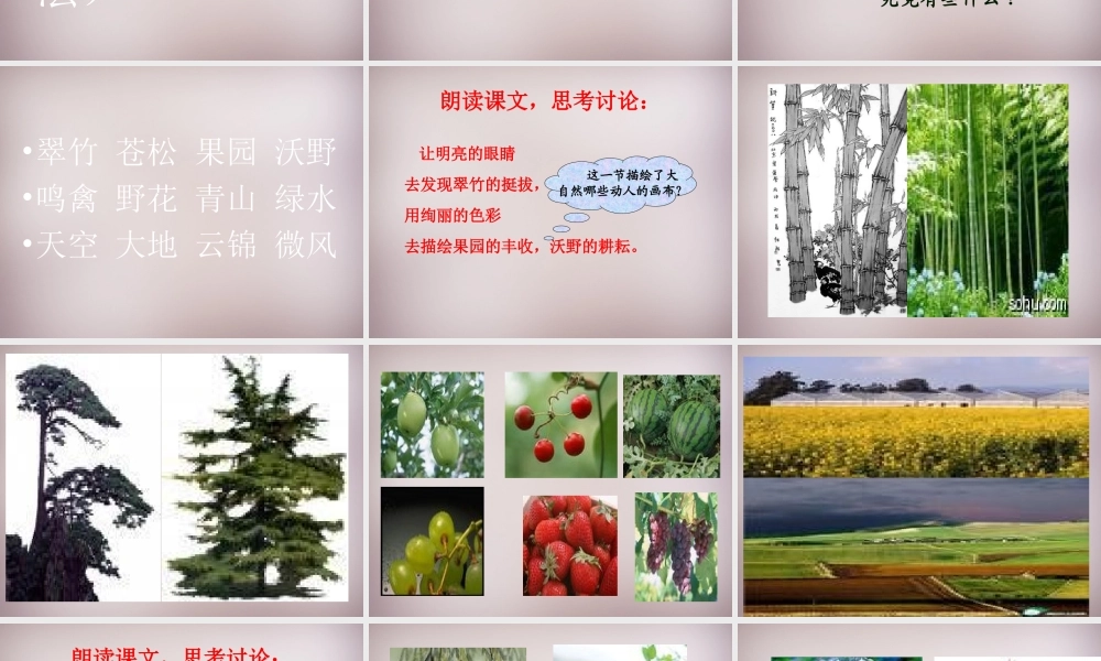 四年级语文上册《打开大自然绿色的课本》课件4 语文A版-语文A版小学四年级上册语文课件