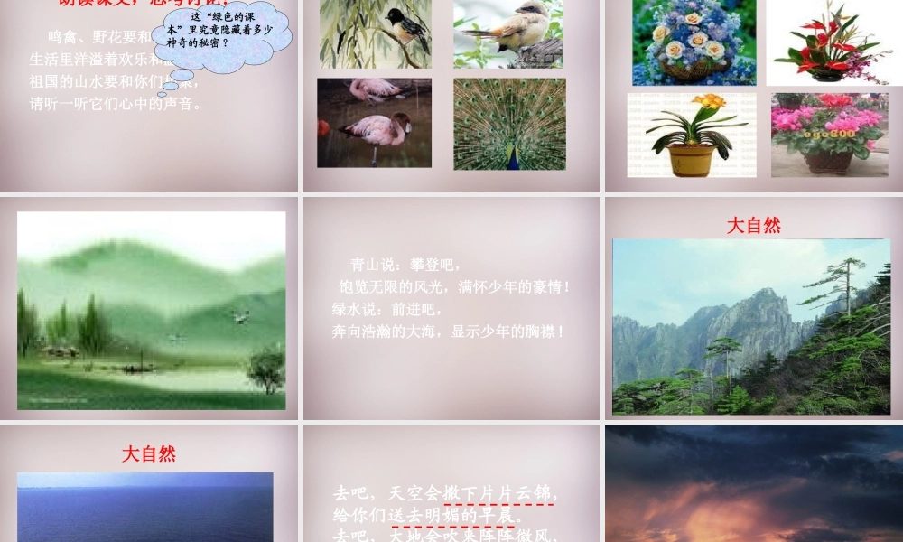 四年级语文上册《打开大自然绿色的课本》课件4 语文A版-语文A版小学四年级上册语文课件