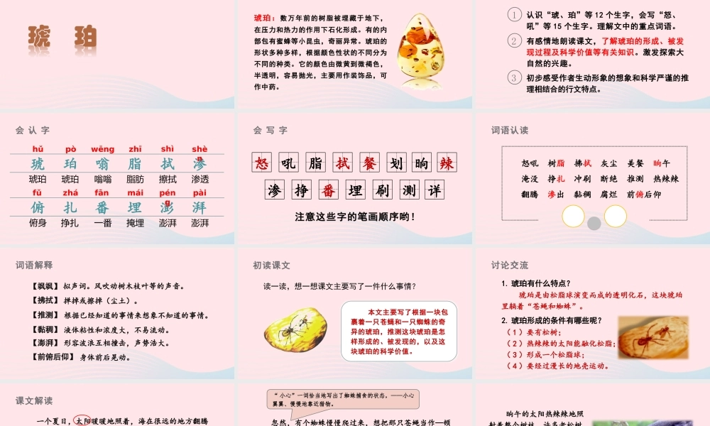 四年级语文下册 第二单元 5《琥珀》课件 新人教版-新人教版小学四年级下册语文课件