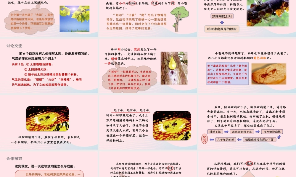 四年级语文下册 第二单元 5《琥珀》课件 新人教版-新人教版小学四年级下册语文课件