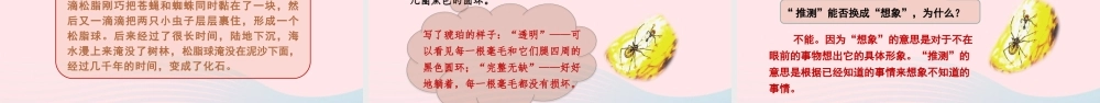 四年级语文下册 第二单元 5《琥珀》课件 新人教版-新人教版小学四年级下册语文课件