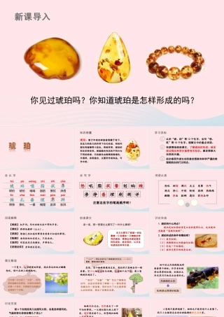 四年级语文下册 第二单元 5《琥珀》课件 新人教版-新人教版小学四年级下册语文课件