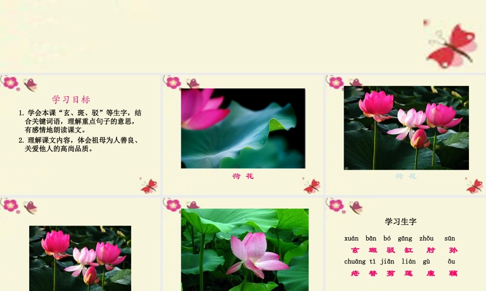 四年级语文下册 第5单元 17《莲叶青青》课件1 语文S版-语文S版小学四年级下册语文课件