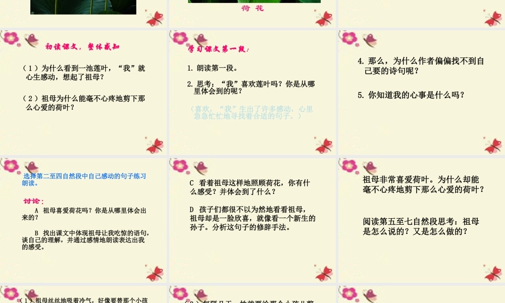 四年级语文下册 第5单元 17《莲叶青青》课件1 语文S版-语文S版小学四年级下册语文课件