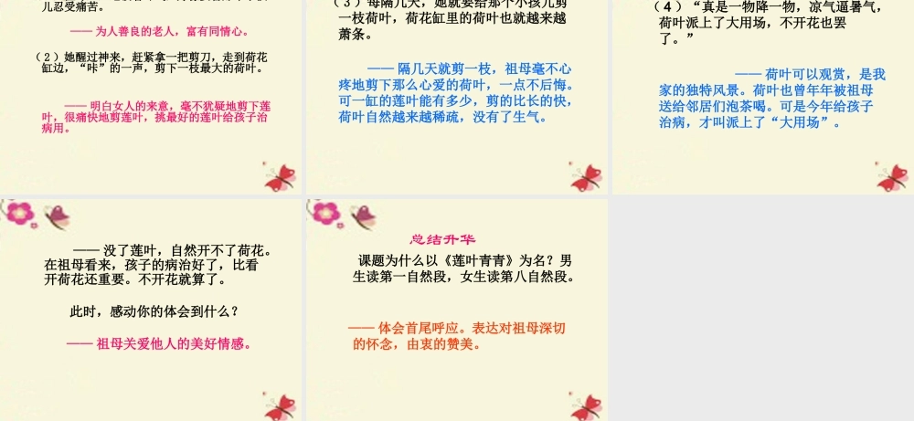 四年级语文下册 第5单元 17《莲叶青青》课件1 语文S版-语文S版小学四年级下册语文课件