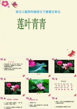 四年级语文下册 第5单元 17《莲叶青青》课件1 语文S版-语文S版小学四年级下册语文课件