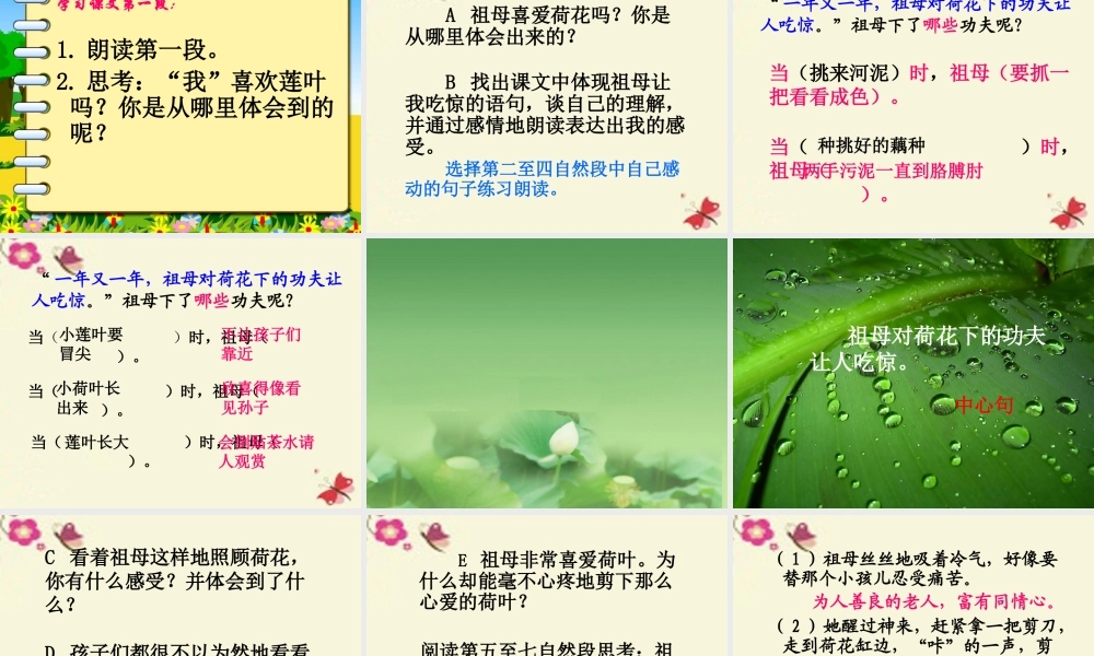 四年级语文下册 第5单元 17《莲叶青青》课件3 语文S版-语文S版小学四年级下册语文课件