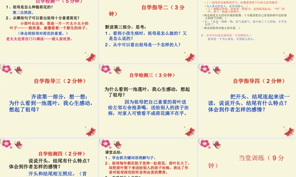 四年级语文下册 第5单元 17《莲叶青青》课件4 语文S版-语文S版小学四年级下册语文课件