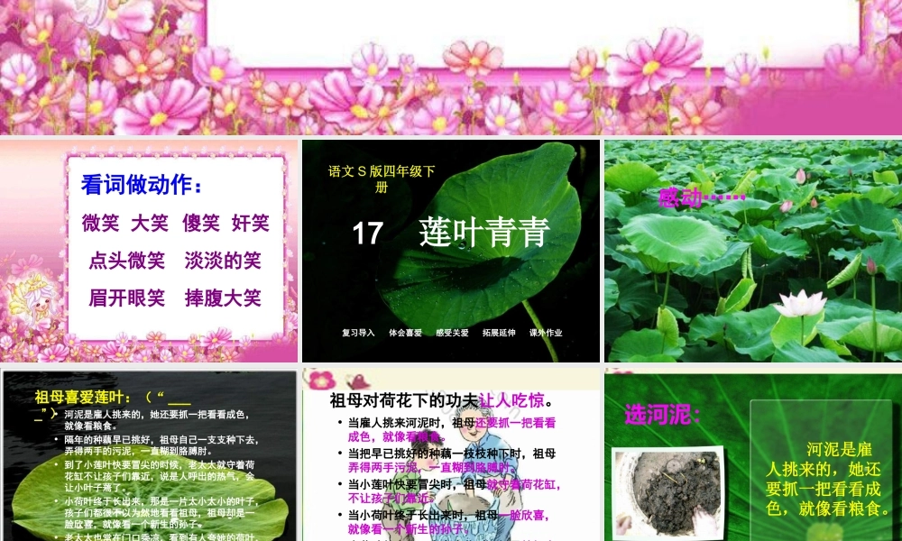 四年级语文下册 第5单元 17《莲叶青青》课件6 语文S版-语文S版小学四年级下册语文课件