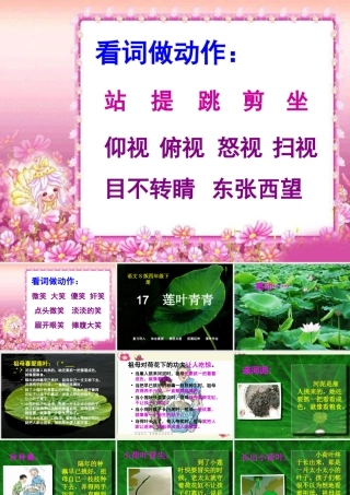 四年级语文下册 第5单元 17《莲叶青青》课件6 语文S版-语文S版小学四年级下册语文课件