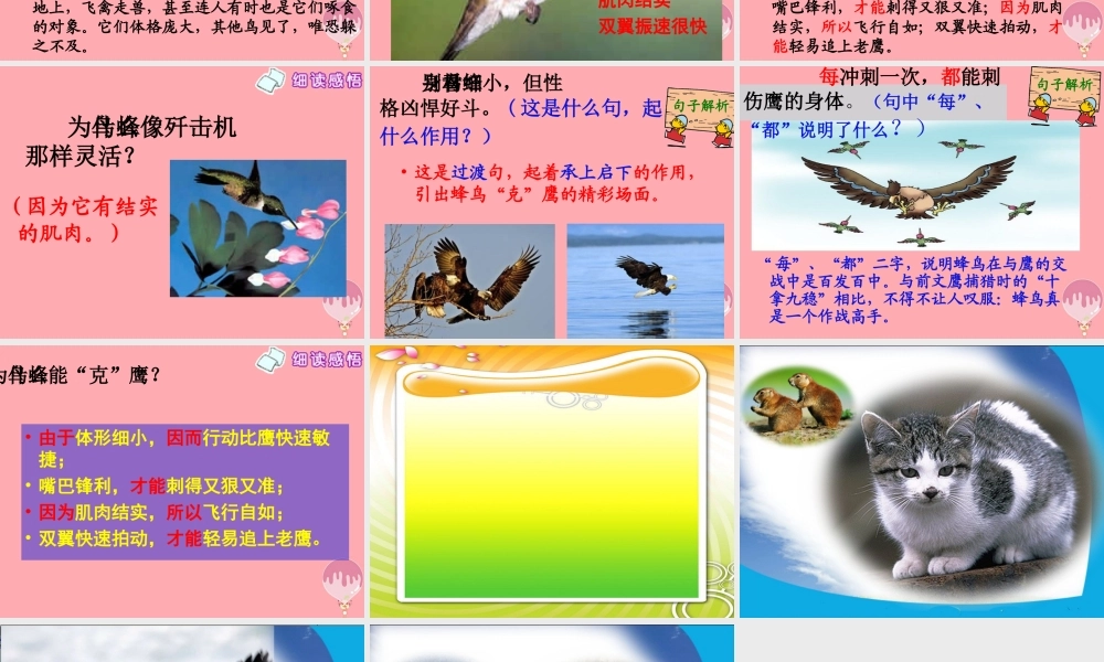 四年级语文上册 第三单元 “空中霸王”的克星课件1 西师大版-西师大版小学四年级上册语文课件