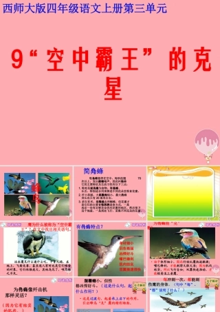 四年级语文上册 第三单元 “空中霸王”的克星课件1 西师大版-西师大版小学四年级上册语文课件