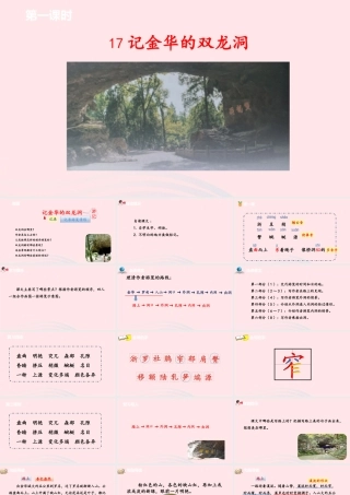 四年级语文下册 第5单元 17记金华的双龙洞课件