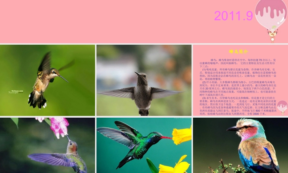 四年级语文上册 第三单元 “空中霸王”的克星课件2 西师大版-西师大版小学四年级上册语文课件