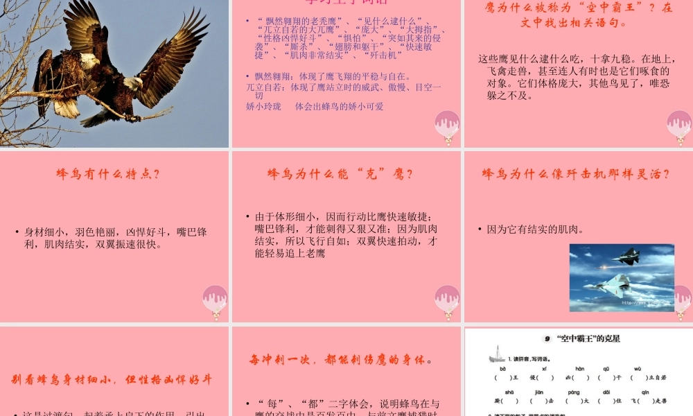 四年级语文上册 第三单元 “空中霸王”的克星课件2 西师大版-西师大版小学四年级上册语文课件