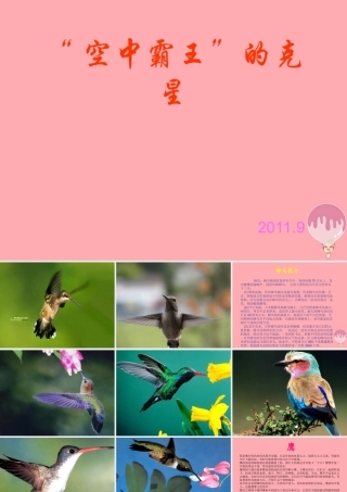 四年级语文上册 第三单元 “空中霸王”的克星课件2 西师大版-西师大版小学四年级上册语文课件