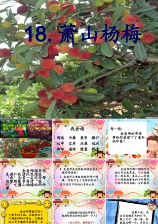 四年级语文下册 第5单元 18《萧山杨梅》课件1 语文S版-语文S版小学四年级下册语文课件