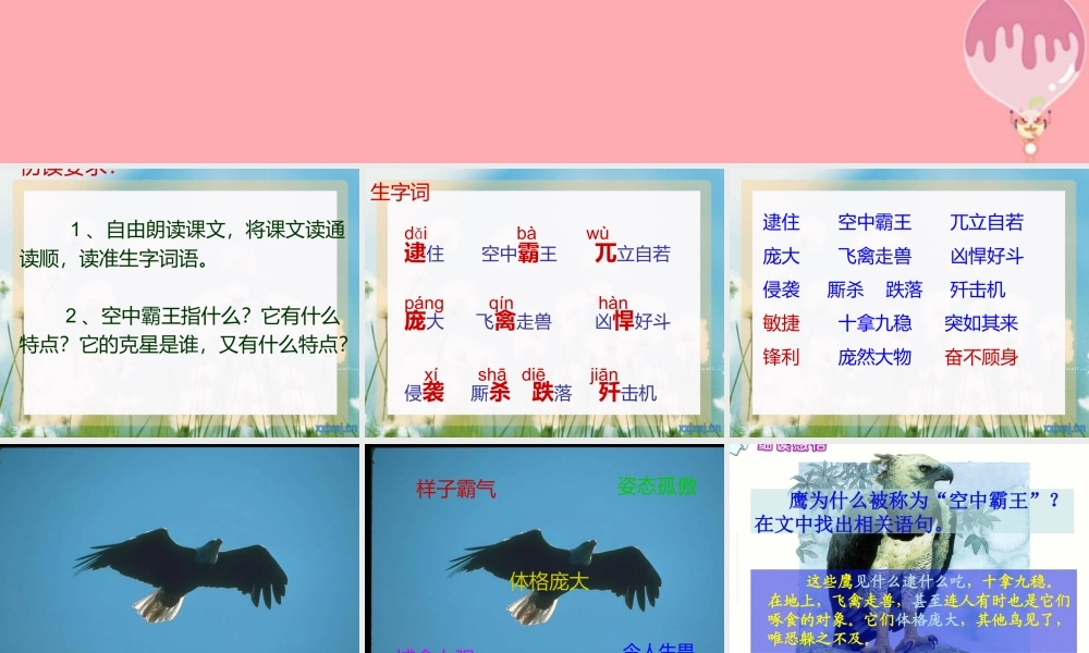 四年级语文上册 第三单元 “空中霸王”的克星课件3 西师大版-西师大版小学四年级上册语文课件