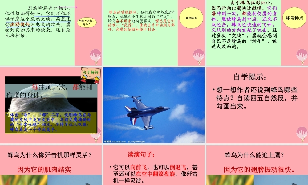 四年级语文上册 第三单元 “空中霸王”的克星课件3 西师大版-西师大版小学四年级上册语文课件