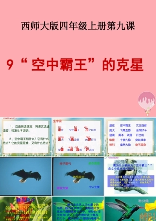 四年级语文上册 第三单元 “空中霸王”的克星课件3 西师大版-西师大版小学四年级上册语文课件