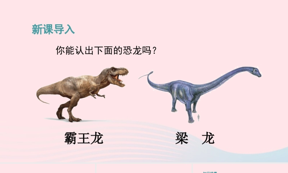 四年级语文下册 第二单元 6《飞向蓝天的恐龙》教学课件 新人教版-新人教版小学四年级下册语文课件