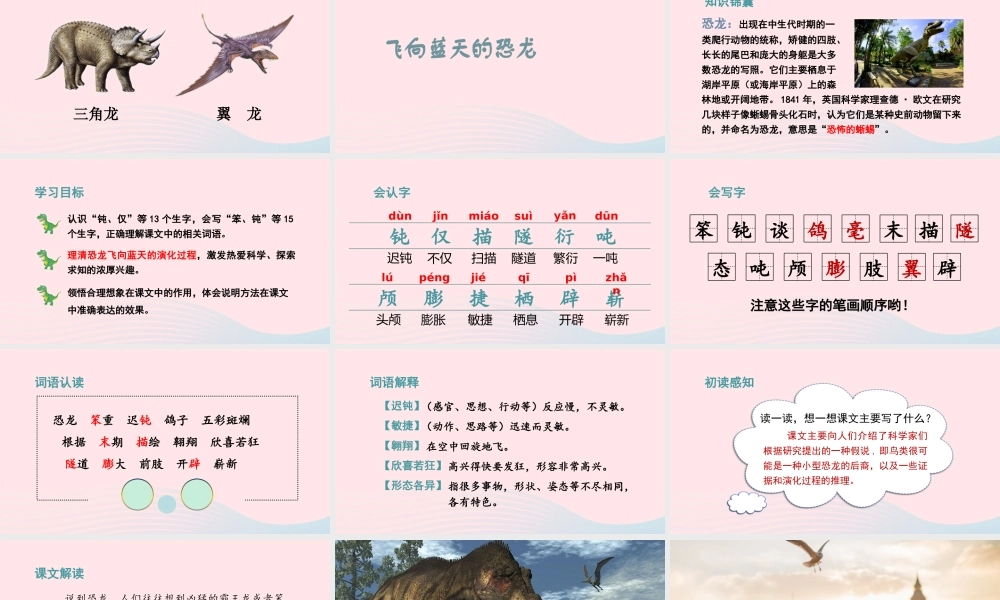 四年级语文下册 第二单元 6《飞向蓝天的恐龙》教学课件 新人教版-新人教版小学四年级下册语文课件
