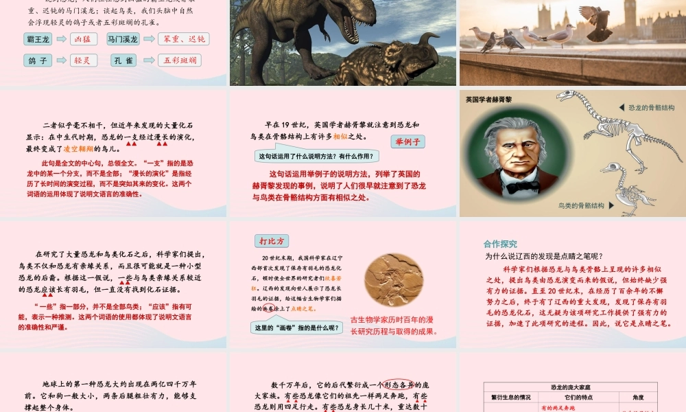 四年级语文下册 第二单元 6《飞向蓝天的恐龙》教学课件 新人教版-新人教版小学四年级下册语文课件