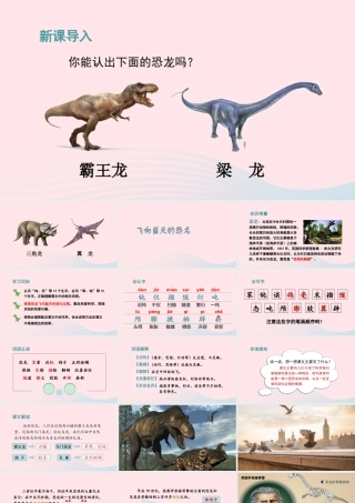 四年级语文下册 第二单元 6《飞向蓝天的恐龙》教学课件 新人教版-新人教版小学四年级下册语文课件