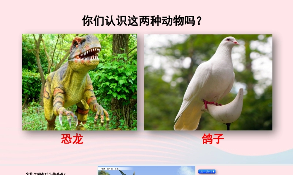 四年级语文下册 第二单元 6《飞向蓝天的恐龙》教学课件 新人教版-新人教级下册语文课件