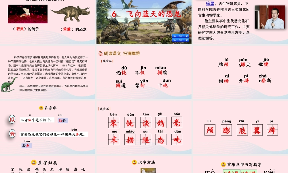 四年级语文下册 第二单元 6《飞向蓝天的恐龙》教学课件 新人教版-新人教级下册语文课件