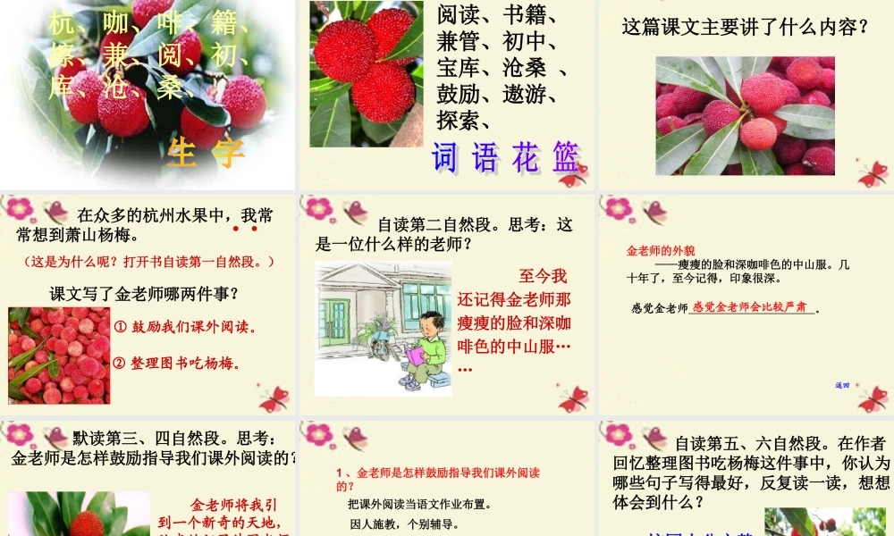 四年级语文下册 第5单元 18《萧山杨梅》课件5 语文S版-语文S版小学四年级下册语文课件