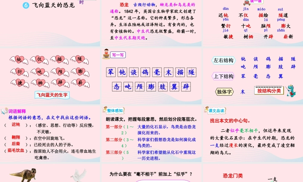 四年级语文下册 第二单元 6《飞向蓝天的恐龙》课件 新人教版-新人教版小学四年级下册语文课件