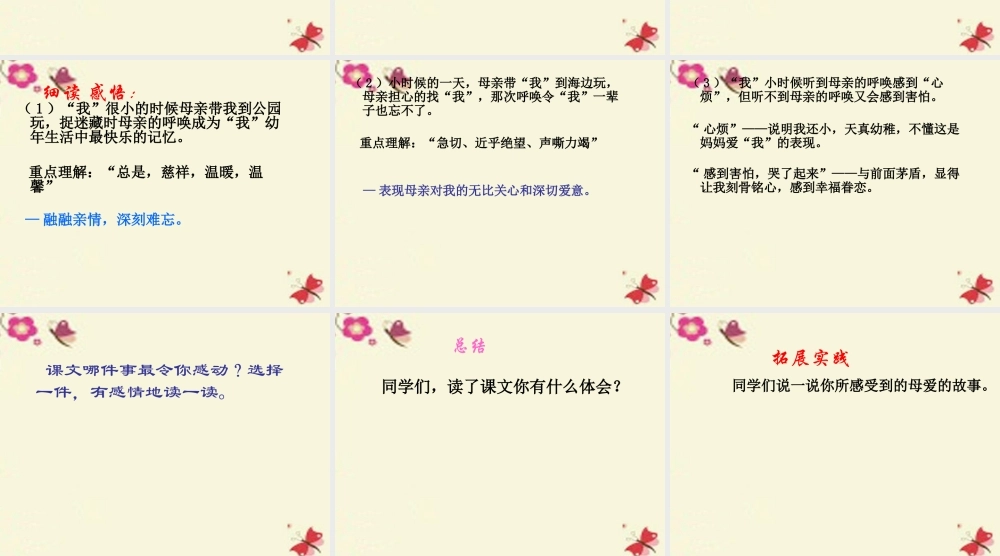 四年级语文下册 第5单元 20《母亲的呼唤》课件1 语文S版-语文S版小学四年级下册语文课件