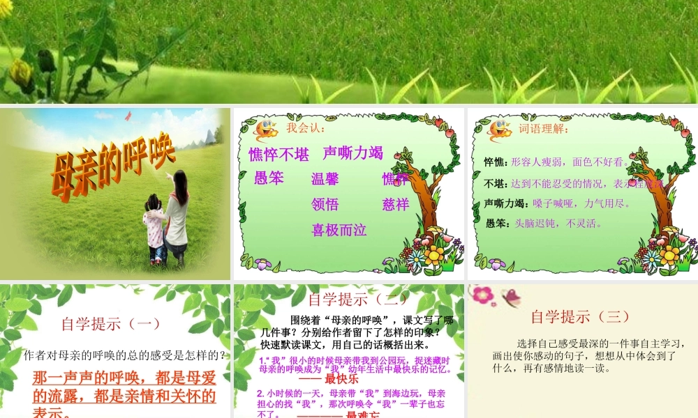 四年级语文下册 第5单元 20《母亲的呼唤》课件6 语文S版-语文S版小学四年级下册语文课件