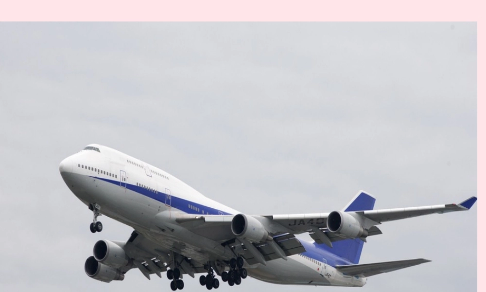 四年级语文上册 第八组 29《呼风唤雨的世纪》课堂教学课件2 新人教版-新人教版小学四年级上册语文课件