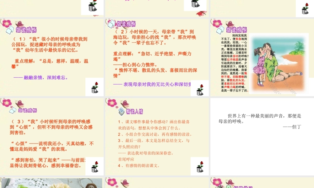 四年级语文下册 第5单元 20《母亲的呼唤》课件7 语文S版-语文S版小学四年级下册语文课件